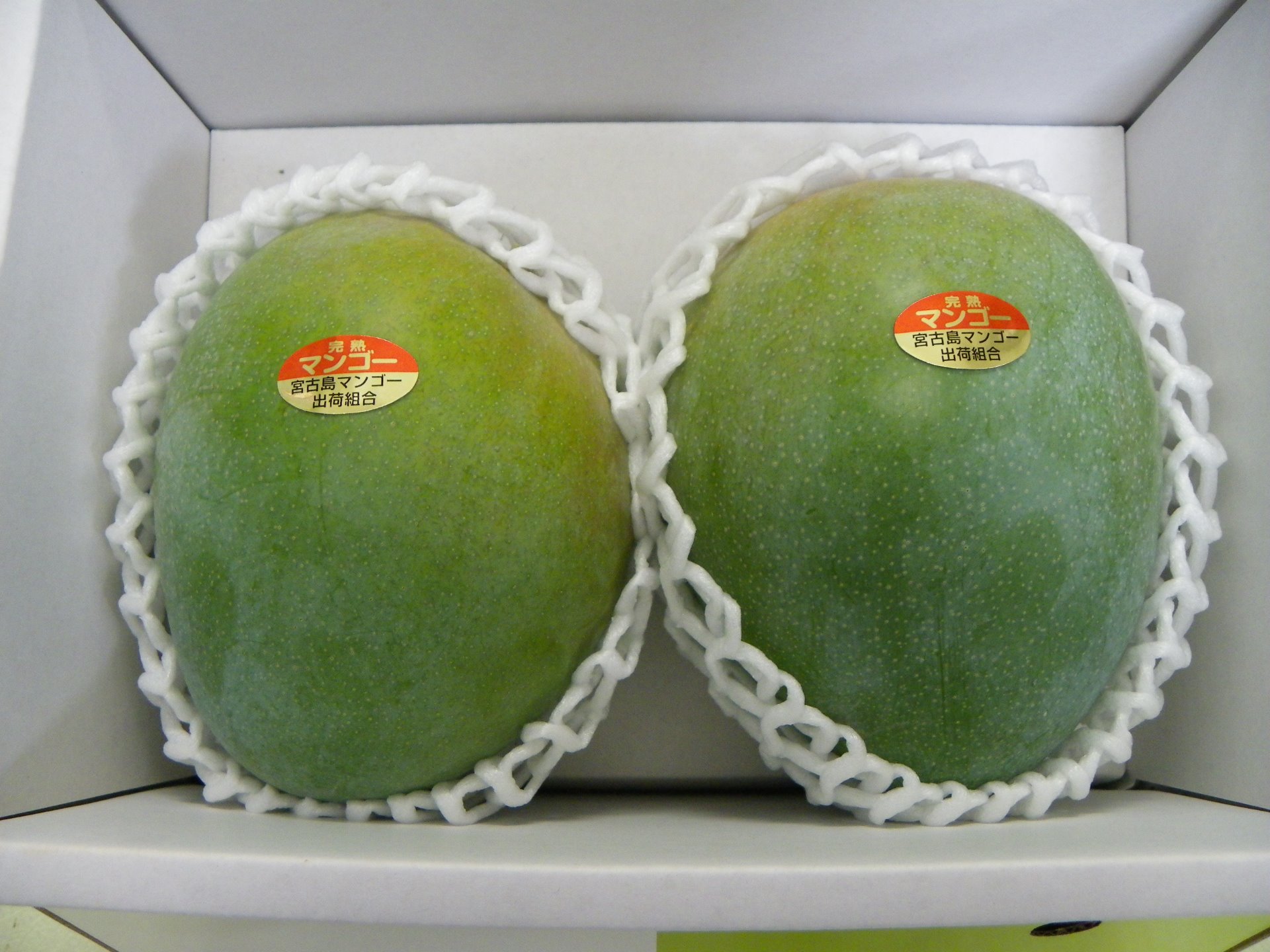 宮古島産　グリーンマンゴー　キーツ　ギョクブン（少量）セット　7kg 20210628_04.jpg
